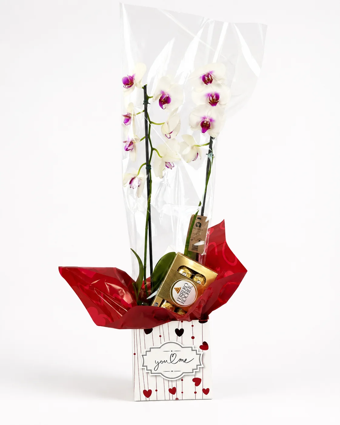 Orquídea Phalaenopsis com Ferrero Rocher na Box You & Me